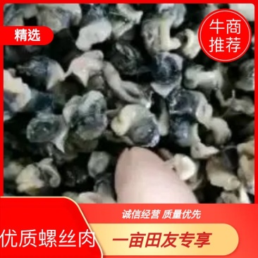 新鲜干净的优质螺丝肉厂家直销量大从优欢迎来电！
