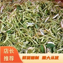 精品金银花鲜货晒制品质保障量大从优欢迎下单