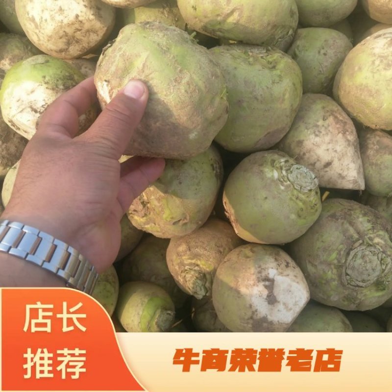 芥菜头一手货源诚信经营品质保障，产地直销，欢迎来电