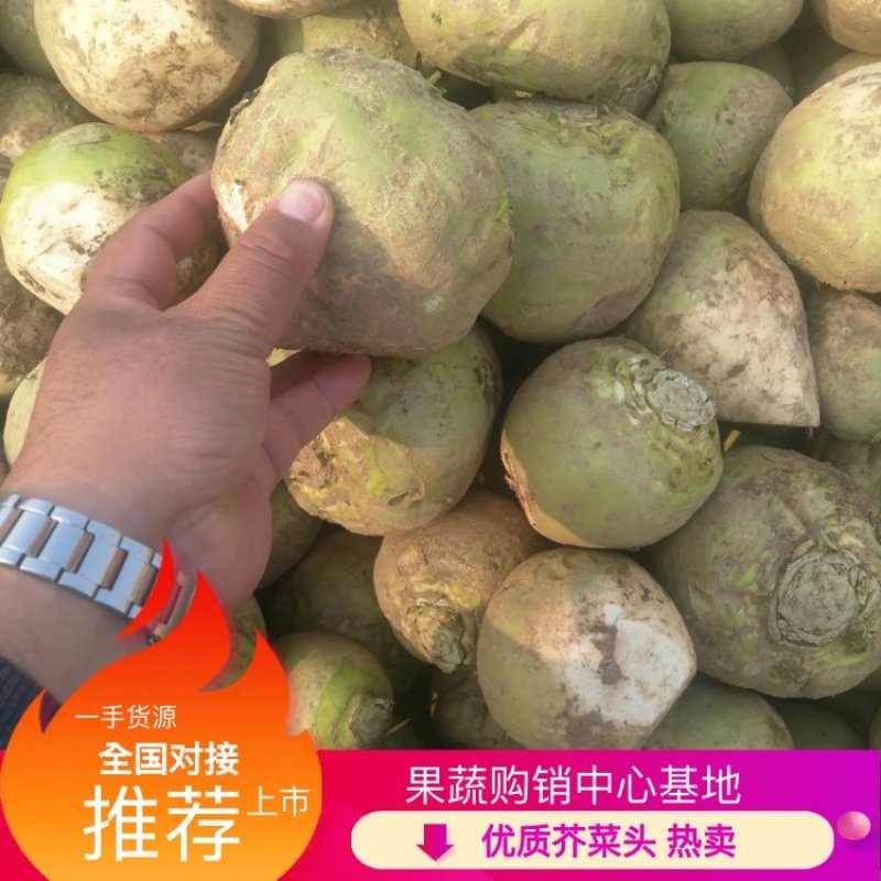芥菜头一手货源诚信经营品质保障，产地直销，欢迎来电