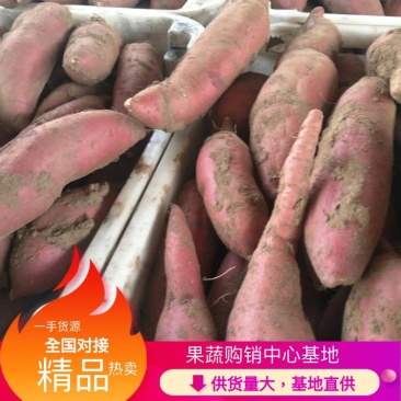 红薯烟薯，口感纯正，供货量大，基地直供一手货源