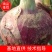 紫皮洋葱大量供应，一手货源，产地直发，价格优惠