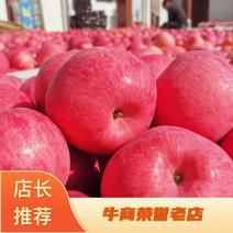 辽宁苹果基地直供，品质保证，全国代发，可视频看货