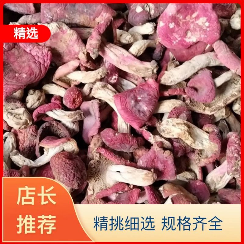 云南家乡的精品野山红菇，纯正山货，口感鲜美，欢迎来电咨询