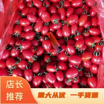 圣女果