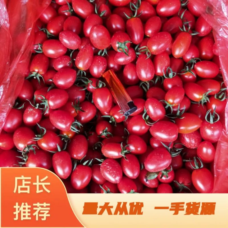 圣女果