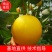 瑞红,久红瑞甜瓜,原产地代收,对接各电商平台,货源充足