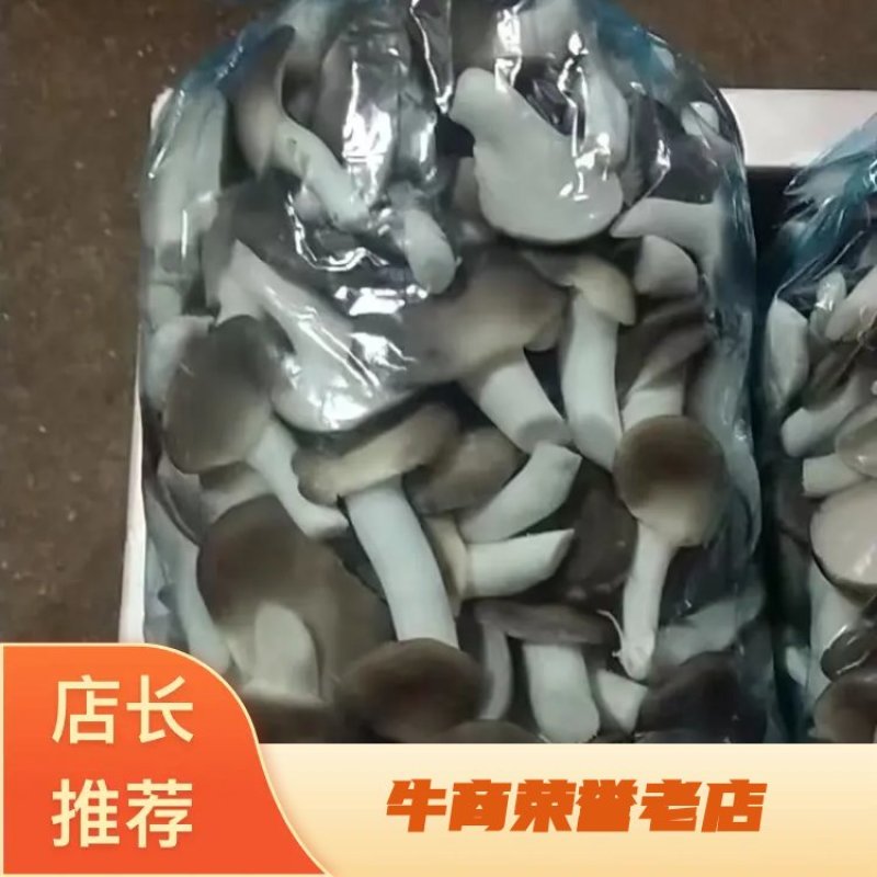 秀珍菇基地直供现摘现发精品热卖