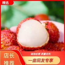 广东荔枝大量上市，品种全，货源足，价格低，欢迎来电