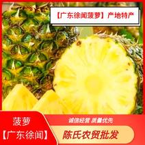 【广东徐闻菠萝】产地特产，货源充足，欢迎订购！