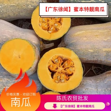 【广东徐闻】蜜本南瓜，质量保证，价格实惠，欢迎订购。