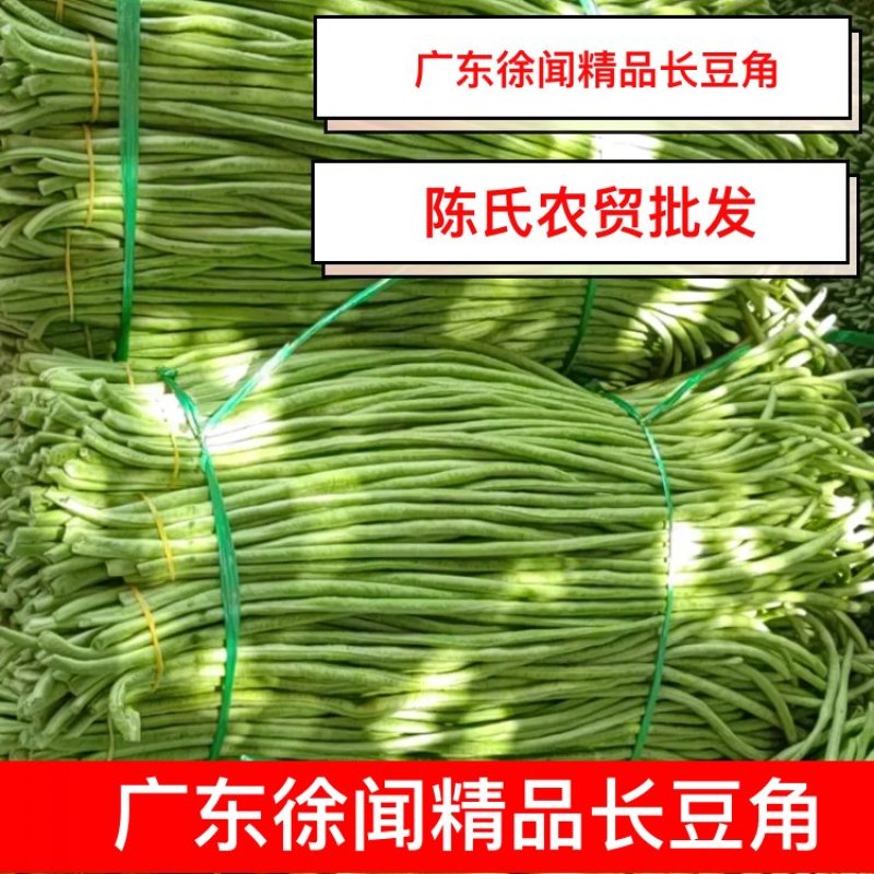 【热销】广东徐闻精品长豆角，产地直发，全国供应，精选好货