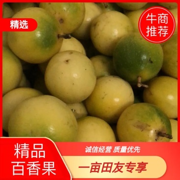 精品黄金百香果基地直供一手货源品质保证诚信经营欢迎采购