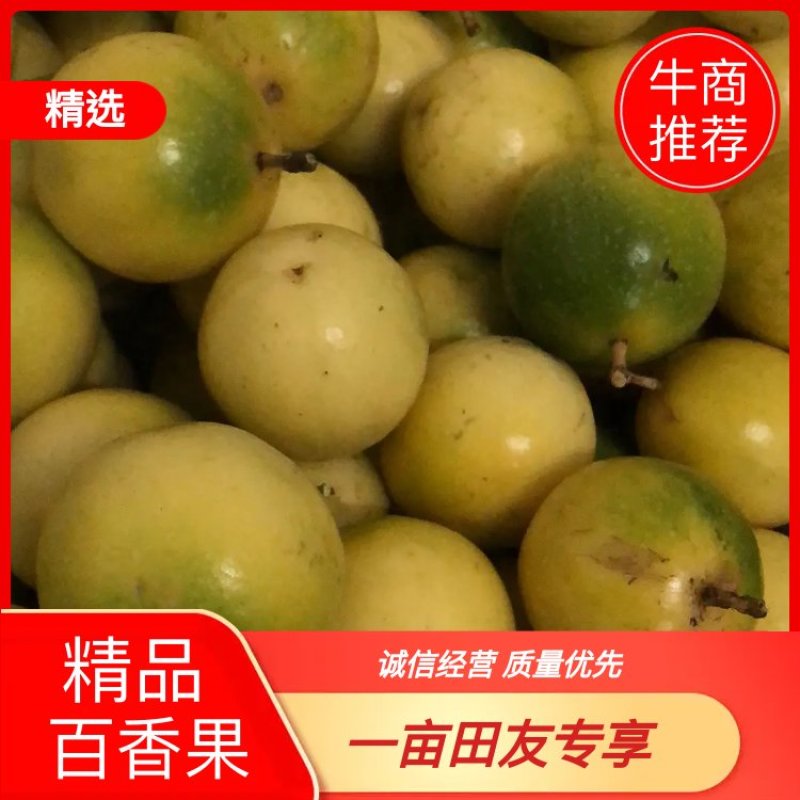 精品黄金百香果基地直供一手货源品质保证诚信经营欢迎采购