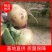 【精品】洋葱新鲜采摘大量强势货源充足欢迎来电