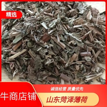 山东菏泽薄荷,产地直发,货量充足欢迎新老客户咨询