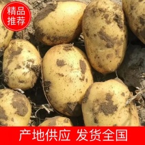 优金885实验一，希森，大量上市欢迎采购