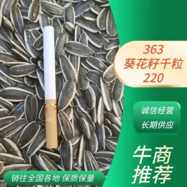 2021年新363葵花籽千粒220，生瓜子10斤装