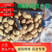 【精品优质土豆】希森六号价格实惠质量优良，雪川红，v七，