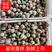广西桂林三华李，玫瑰李，杨梅等各种应季水果长期供应。