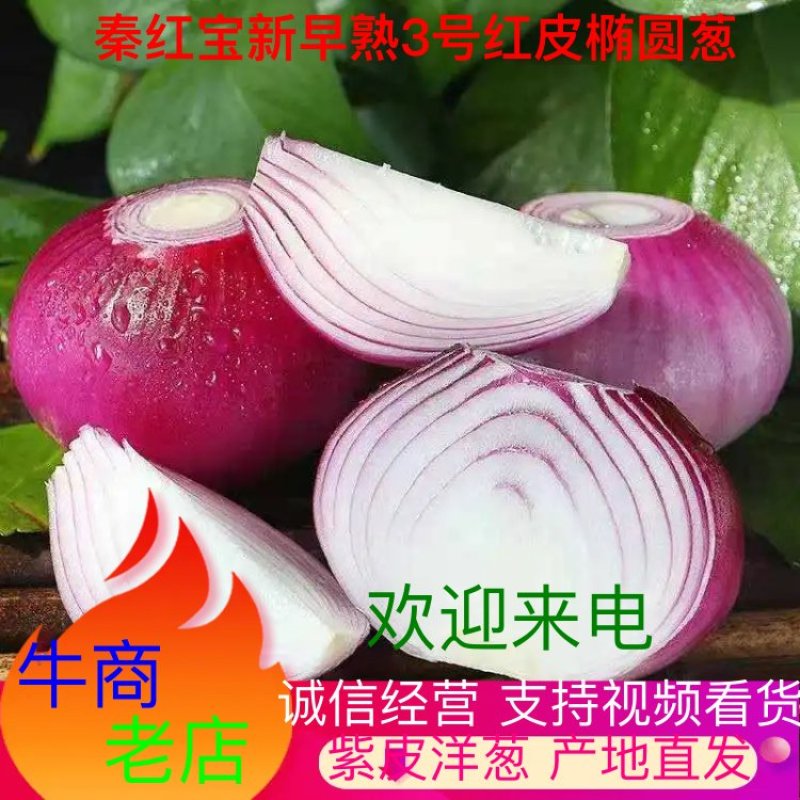 【热卖中】二红洋葱红皮洋葱鲜食库存的优选