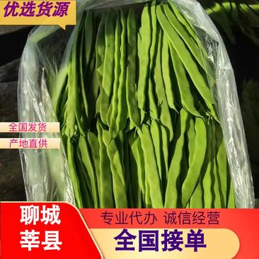 【扁青豆】山东聊城莘县扁豆大量供应价格低质量优欢迎采购