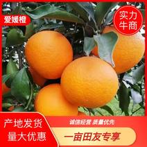 爱媛果冻橙九月红脐橙橙子支持电商团购批发视频