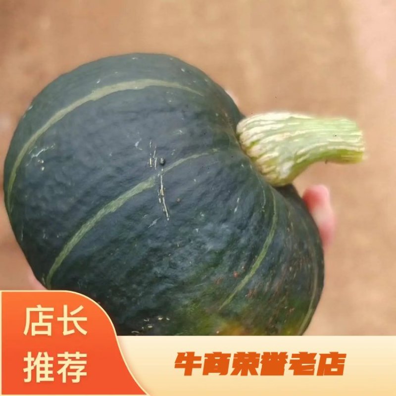 精品贝贝南瓜，口感粉糯，甜度好，地贝贝，吊贝贝大量有货