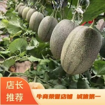 【荐】西州蜜瓜商超电商团购市场档口哈密瓜实力供应全国