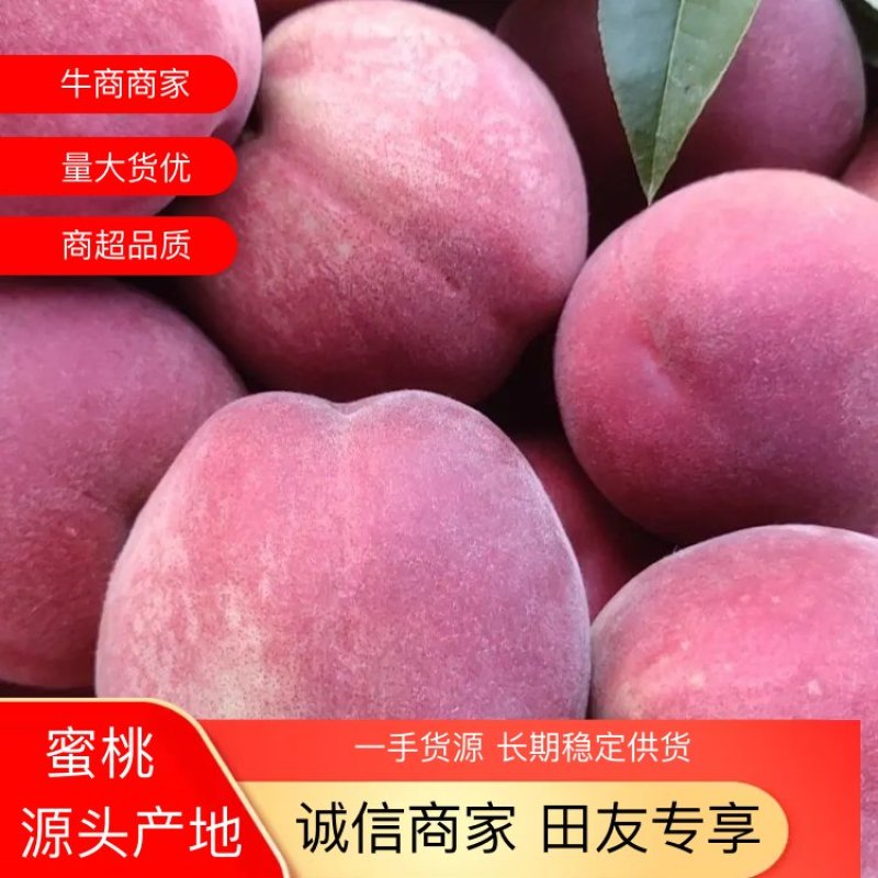 脆甜桃早熟桃6月初新鲜采摘量大价优苍溪文昌特产基地直发