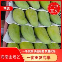 海南陵水金煌芒果大量现货欢迎来电咨询，支持市场批发