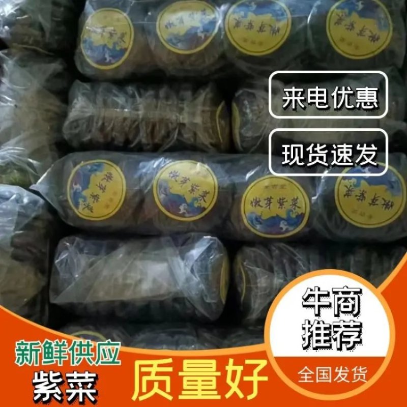 精品紫菜厂家一手货源全国发货价格优惠供应市场商超电商