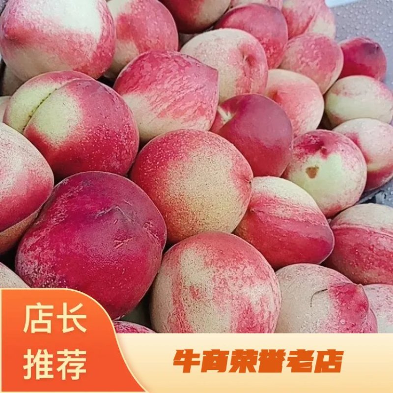 湖北精品春雪春蜜毛桃口感脆甜果园现采现发货源充足