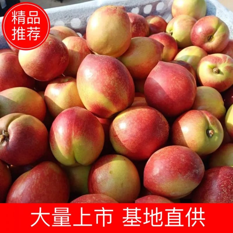 杠一，杠二，杠三，中油系列油桃，货源充足。量大从优