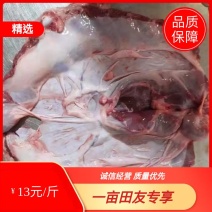 连肝肉护心肉隔山肉整块无碎肉新鲜上市批发直供