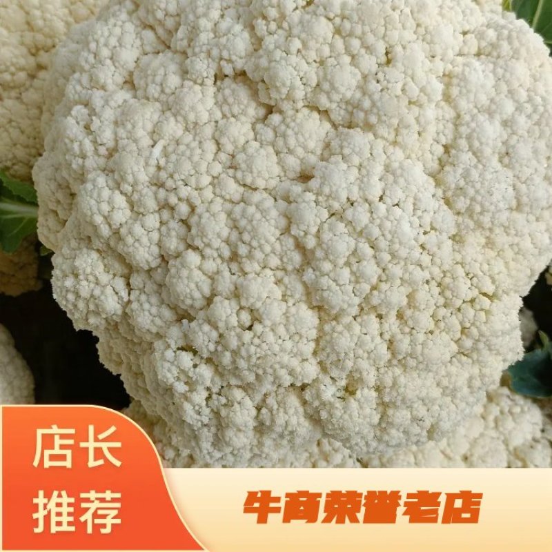 【精品A货】精品花菜菜花有机花量大全国可发