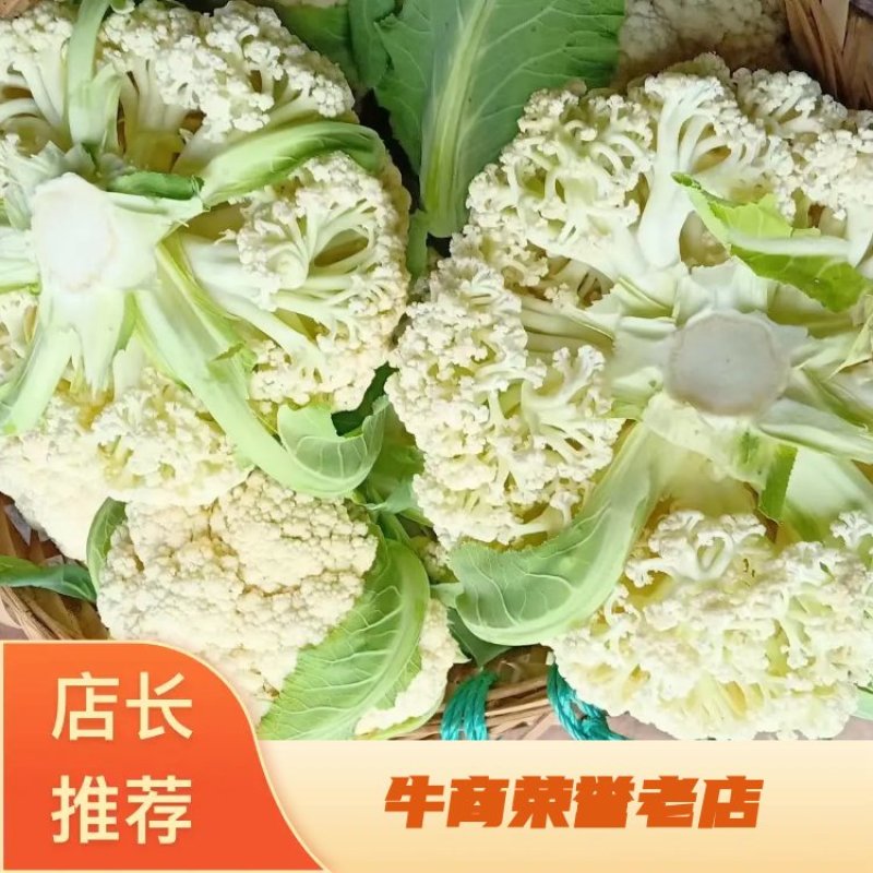 【精品A货】精品花菜菜花有机花量大全国可发