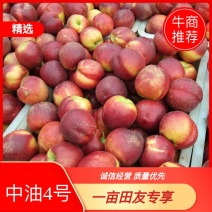 精品中油油桃大量上市品质保证诚信经营一手货源欢迎采购
