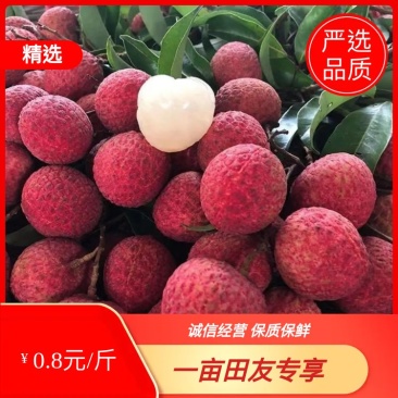妃子笑，玉荷包，口感爆甜，皮薄肉厚，可代发电商