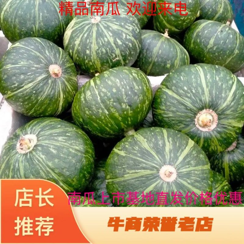 【热卖中】新野县南瓜大量上市产地直发一手货源品质保证
