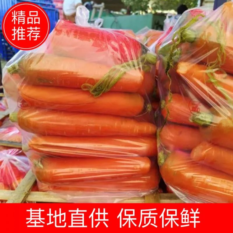 【推荐】胡萝卜河南产地直发大量上市对接批发电商