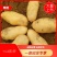 土豆黄心土豆大量供应欢迎前来客商前来订购