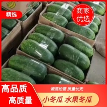 【精品推荐】小冬瓜水果冬瓜现摘现发大量有货
