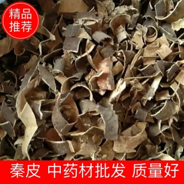 秦皮中药材树皮秦皮品质好价格不贵电话联系药材商