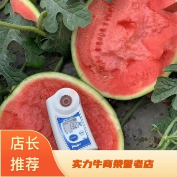 枝江美都无籽西瓜/8424麒麟瓜大棚瓜产地直发整车发