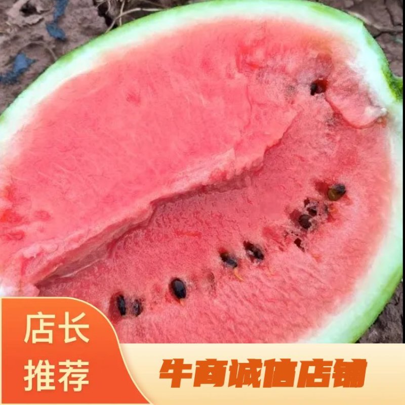 云南西瓜品质保证诚信经营欢迎联系接商超市场电商