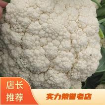 白面青梗松花菜散花2~3斤青梗小米粒乳白，开始供应。
