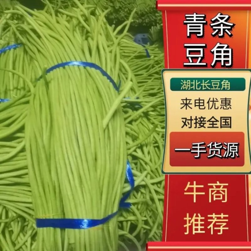 湖北长豆角青条豆角实力代办品质好量大从优市场商超电商