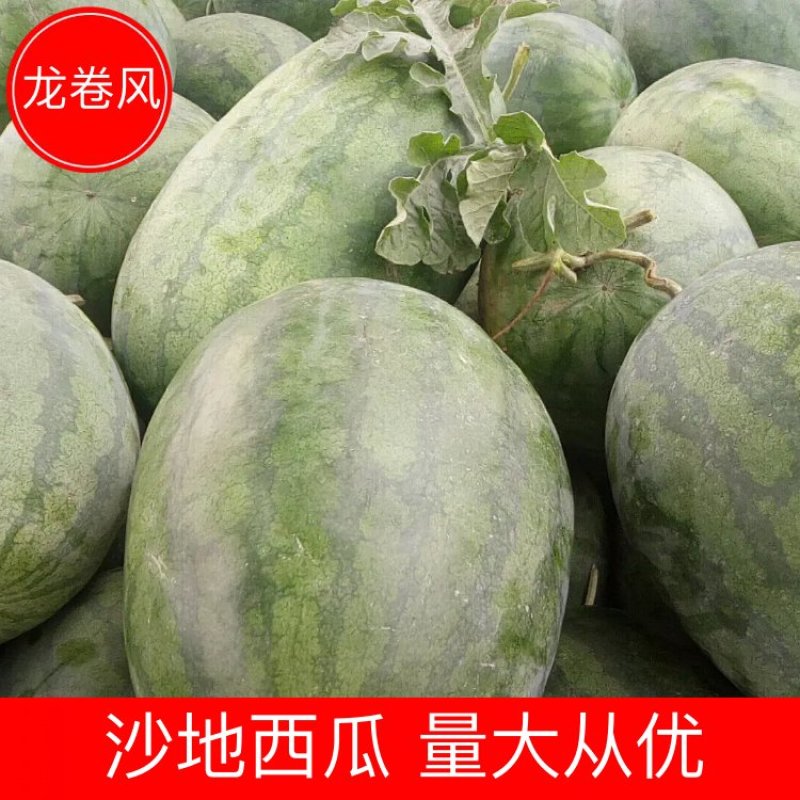 【产地直销】开封龙卷风西瓜等可供超市、各大市场、、