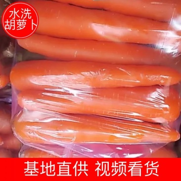 【好货】红萝卜水洗土货全苗次品全国发货超市市场欢迎来电